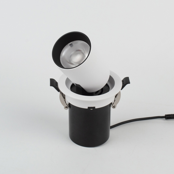 Fynn 12W LED Downlight