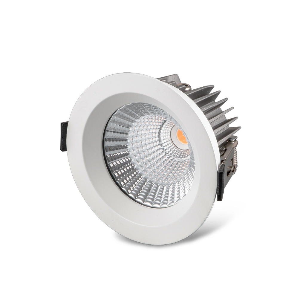 FIORITO AEGIS 10W LED Downlight